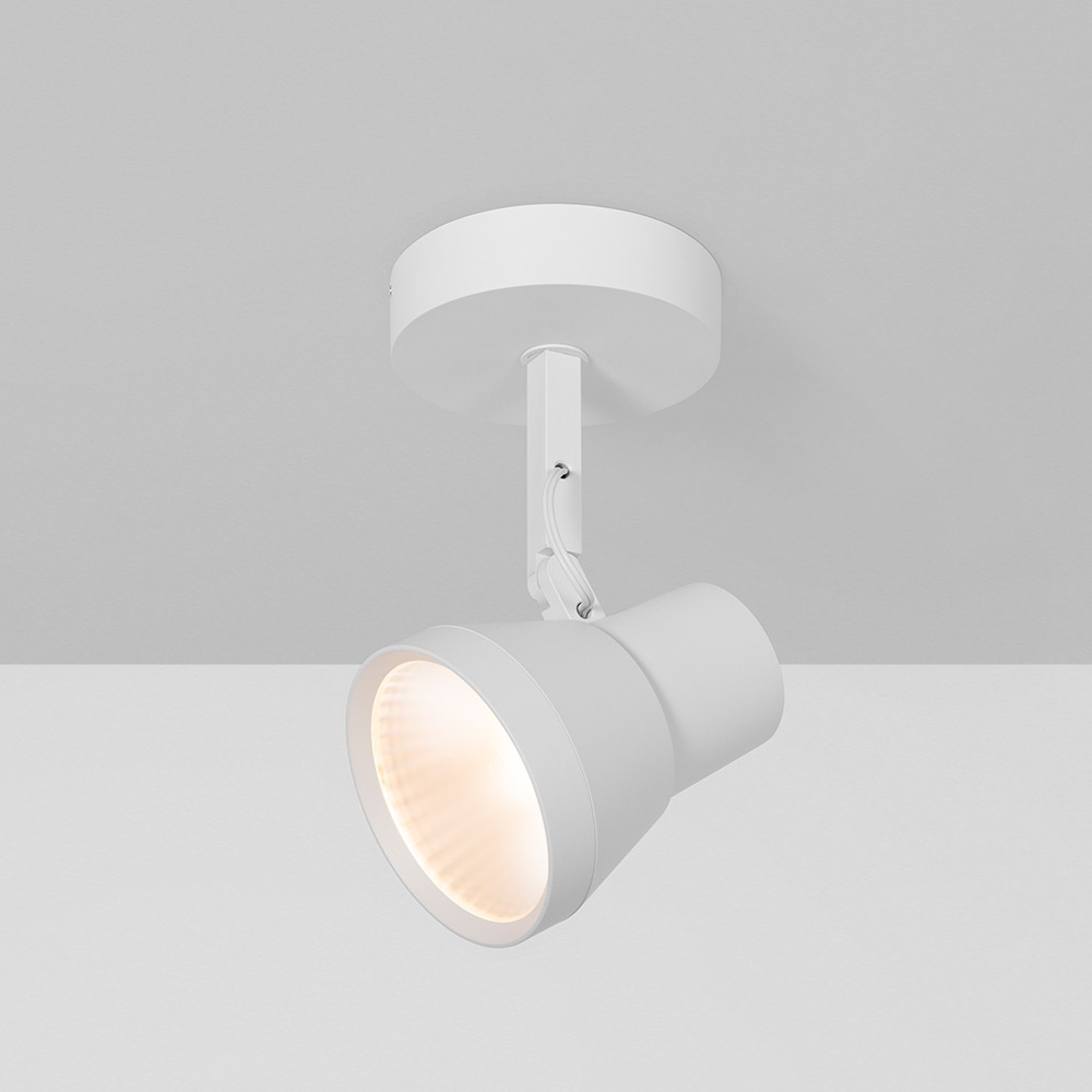 Surface Mounted Light